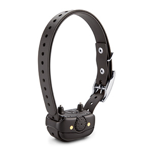 No Bark Collars